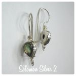 Abalone Earrings ASE 056